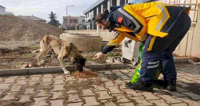 112 Personellerinden sokak hayvanlarına mama desteğ