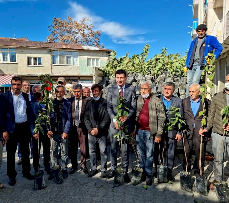 Gölbaşı'nda Hurma fidanı dağıtıldı