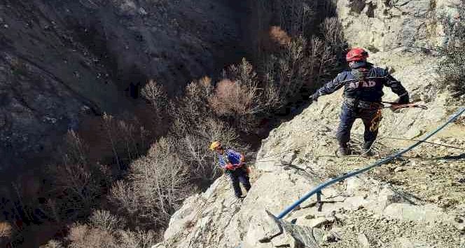 Kayalıklarda 5 gün boyunca mahsur kalan keçileri AFAD kurtardı